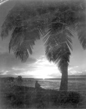Sunset at the beach - Punta Gorda, Florida .