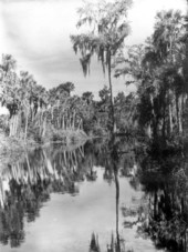 View of Marion Creek .