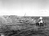 Camera men filming in the Suwannee River .
