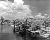 Fishing on the Withlacoochee River .