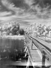 Bridge over Halls River - Homosassa Springs, Florida .