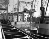 The traveling tower and boom conveyor..