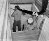 Employees prepare a box for packing