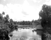 View of Homosassa River - Homosassa Springs, Florida .