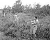 Unidentified men repairing a fence - Saint Marks, Florida .