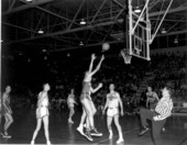 View of the Georgia-Carolina basketball game - Tallahassee, Florida