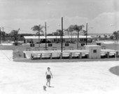 Unidentified woman and her dog walk around Trailer Estates - Sarasota, Florida .