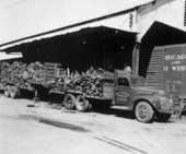 Wood at the platform of the Newport Industries - Pensacola, Florida.