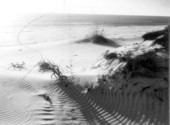 View of the beach - Panama City, Florida .