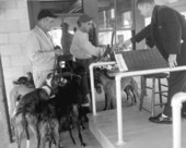 Grooms and dogs at the race track - Tampa, Florida .