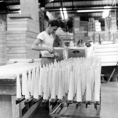 Wooden legs for furniture - Tampa, Florida .