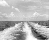 View of the ocean .