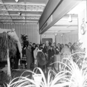 Visitors gather in the Florida showcase .,