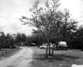 View of campground area at the Myakka River State Park - Sarasota, Florida.