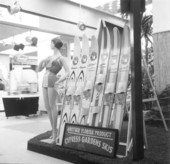 Display of skis from Cypress Gardens attraction .