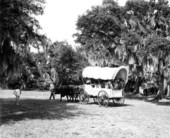 View of covered wagon at the Myakka River State Park - Sarasota, Florida.