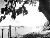 Boat on the Amelia River - Fernandina Beach, Florida