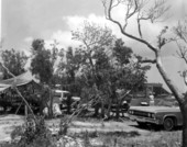 Campers at Knights Key Campground - Marathon, Florida