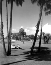 Golfers on the golf course - Bradenton, Florida