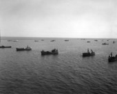 Oyster boats