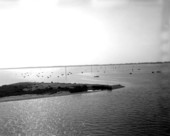 Oyster boats
