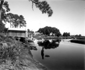 View of Steinhatchee River dock area - Taylor County, Florida .