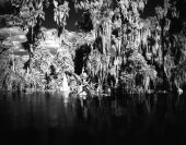 Fishing on Lake Eloise .
