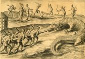 Killing Crocodiles.