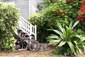 Side yard of conch house on the corner of Truman and Georgia streets, Key West, Florida.
