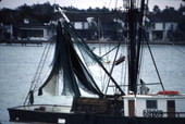 View looking toward fishing nets aboard shrimp boat - Ozona, Florida.