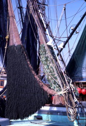 View of nets aboard shrimp boat - Springfield, Florida.