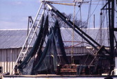 Nets hanging to dry on the shrimp boat..