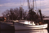View of the shrimp boat "Santa Maria" - Saint Augustine, Florida.