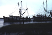 View of shrimp boats - Saint Augustine, Florida.