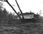 Tractor takes down trees