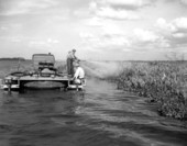 Game and fish commission officers spraying hyacinths