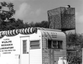 Observation blind and trailer at the Florida Wildlife Research Laboratory