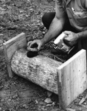 Unidentified man working on a wood duck nest box