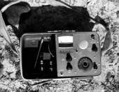 Close up of a bird radio telemetry