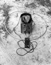 Close up of a bird radio telemetry
