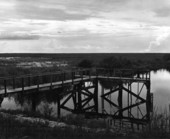 View of Tamiami Trail Fish Management Area - Tamiami Trail, Florida