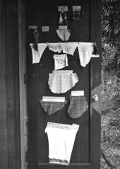 Shirt tails nailed on a door