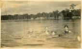Students from the Florida State College for Women swim Lake Bradford at Camp Flastacowo - Tallahassee, Florida.