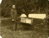 Governor John Martin with apples in a wheelbarrow