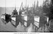 Fleet of shrimp boats - Fernandina, Florida
