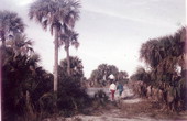 View looking towards people hiking on Cayo Costa island - Lee County, Florida.
