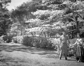 Couples enjoying the scenic view at Killearn Gardens State Park in Tallahassee, Florida.