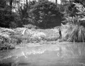 Woman posing among flowers for photographer at the Killearn Gardens State Park - Tallahassee, Florida.