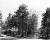 View of Oakgrove Convalescent Home - Tallahassee, Florida .