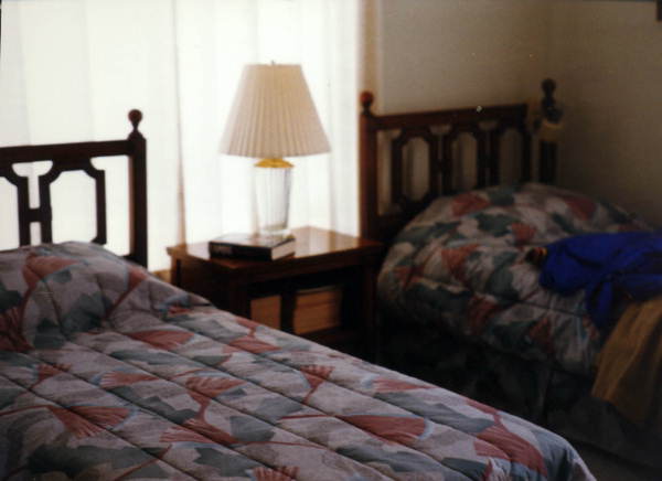 Bed in the spare bedroom